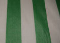 Store Balcon Design vert-blanc